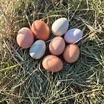 Bitini Farm Lejlighed Gračišče