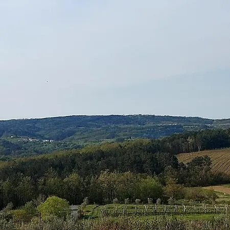 Bitini Farm *
