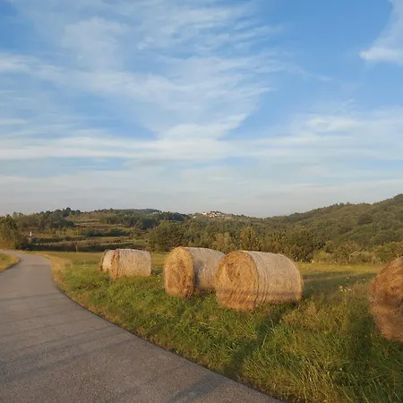 Bitini Farm * Gracisce