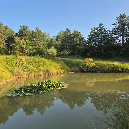 Bitini Farm Gračišče