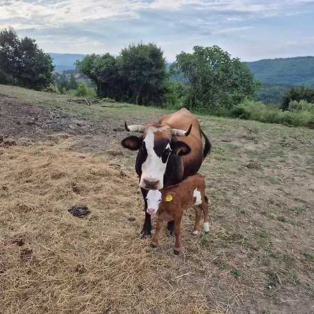 Bitini Farm Appartement