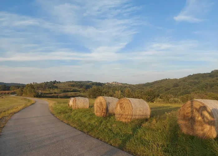 Bitini Farm * Gračišče