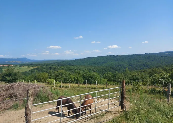 Bitini Farm Gracisce