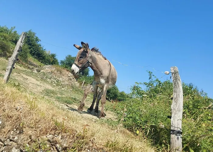 Bitini Farm Appartement *
