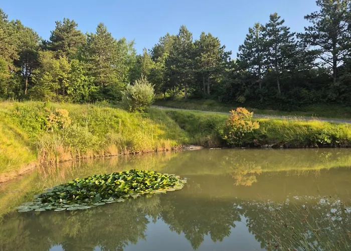 Bitini Farm Gračišče