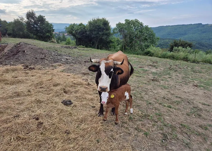 Bitini Farm Apartman