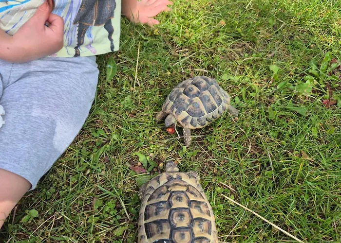 Appartement Bitini Farm Gračišče