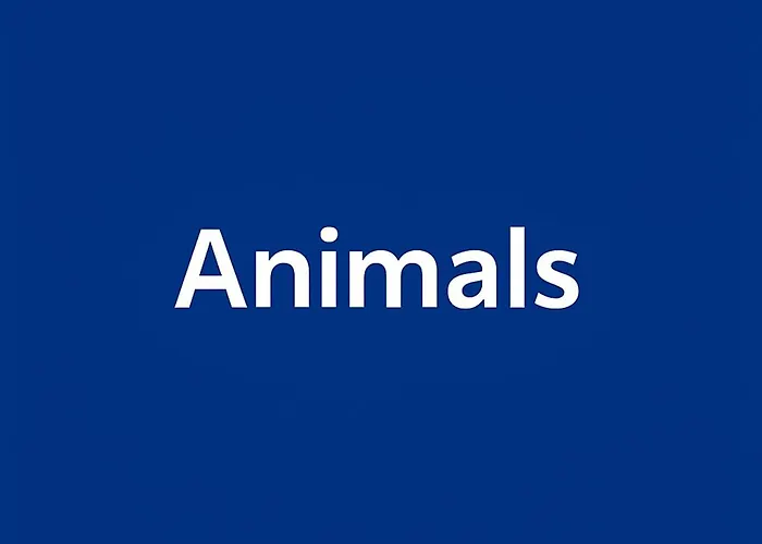 Bitini Farm Appartement